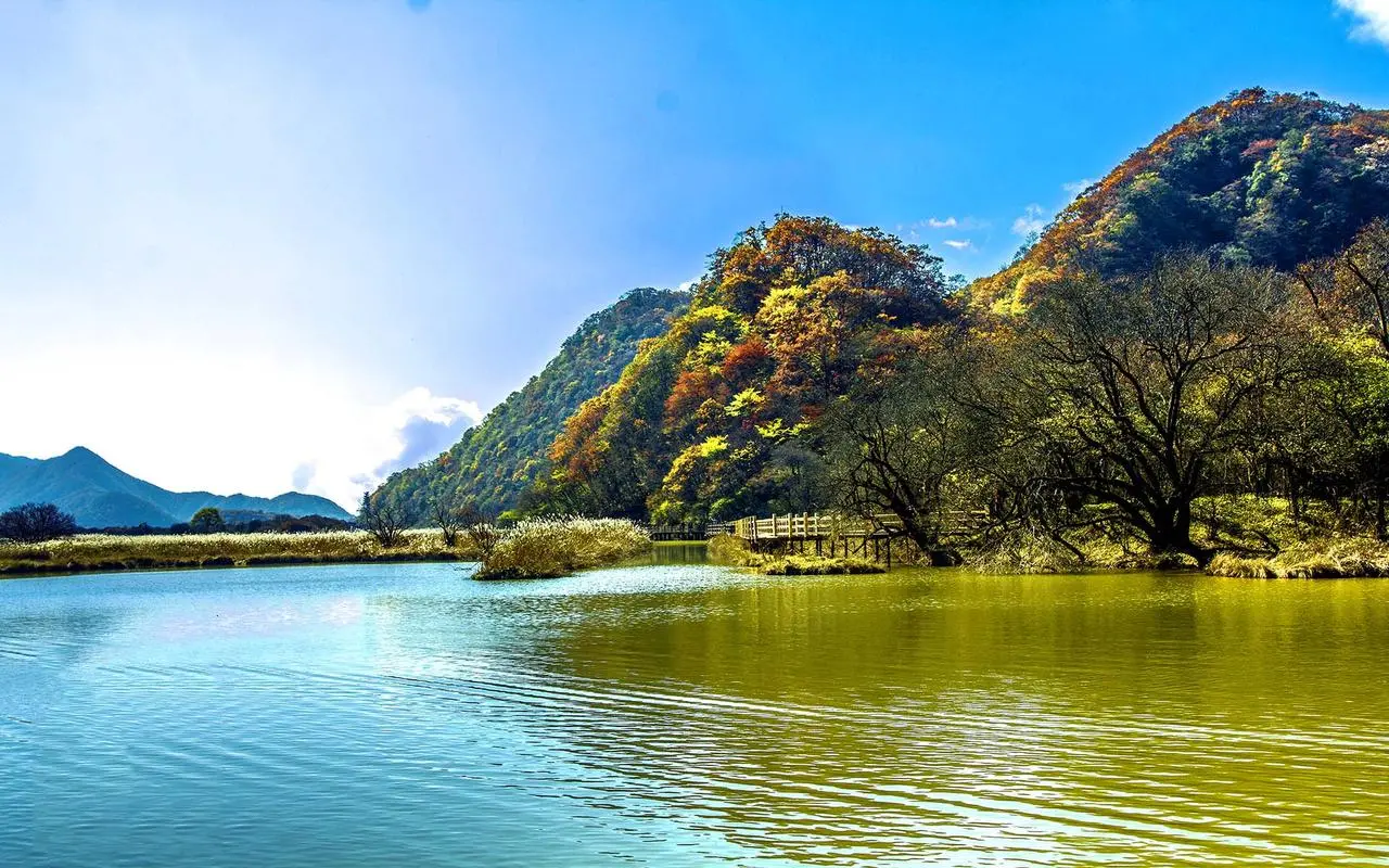高效智能